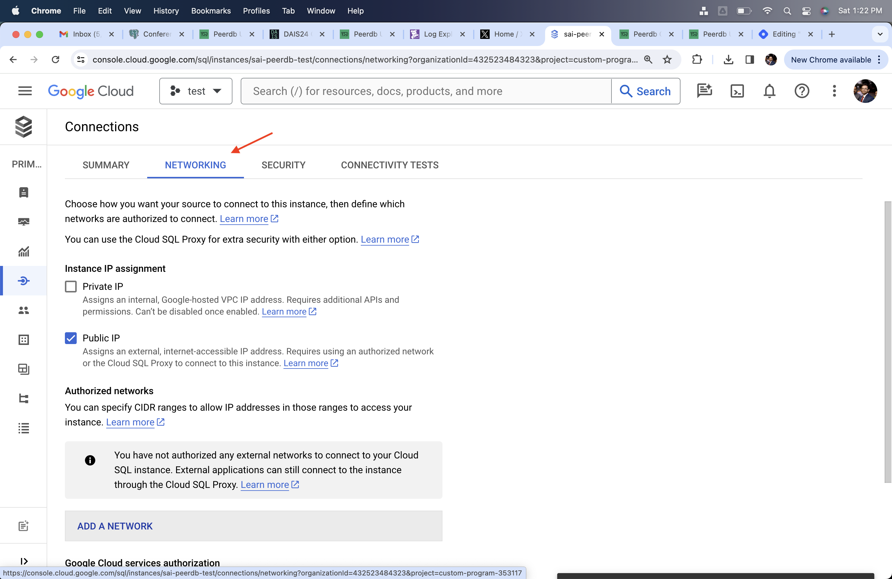 Cloud SQL의 Networking 하위 섹션